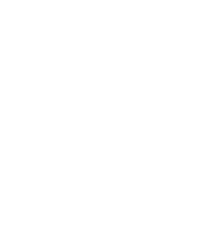 DPS Logo_white